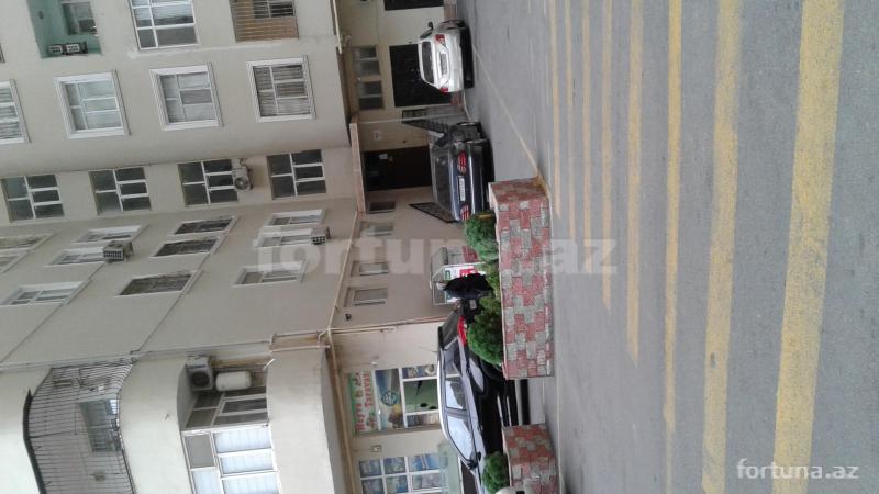 Yeni tikili