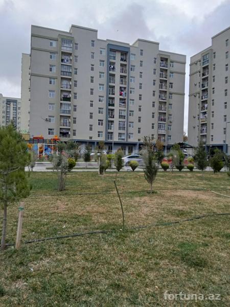 Yeni tikili
