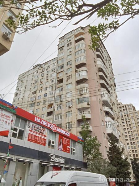 Yeni tikili