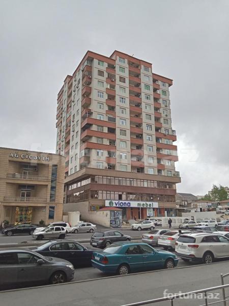 Yeni tikili